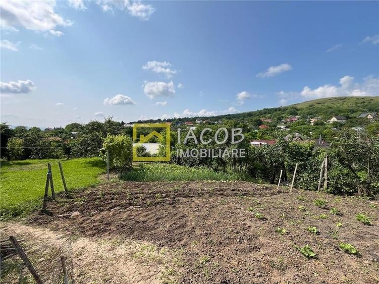 Casa cu 1690 mp teren, vie pe rod, comuna Sarata, jud. Bacau - 10