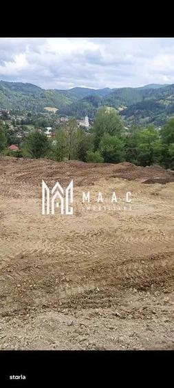 Spațiu comercial, în Albac