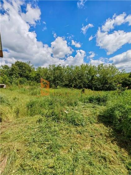 Casa + teren intravilan zona Joseni, Berca - 8