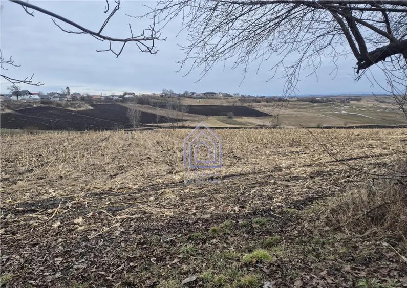 Teren Moara Nica - zona Scolii - 1