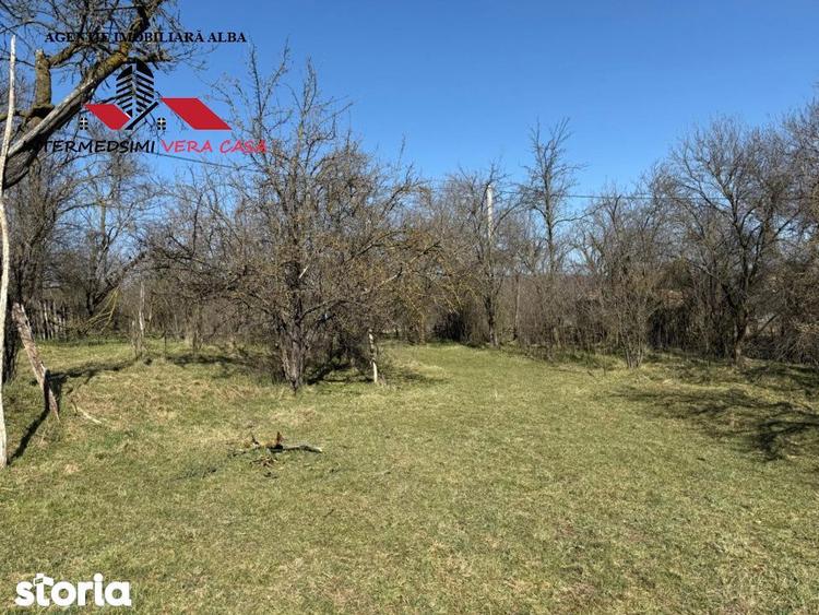 Casa si anexe cu un teren de 7701 mp de vanzare in Stauini Jud Alba - 4
