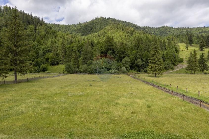 Ferma de vanzare, teren 21436 mp intravilan, Cosnea, Agas - 27