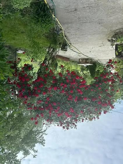 Casa de vanzare - 20