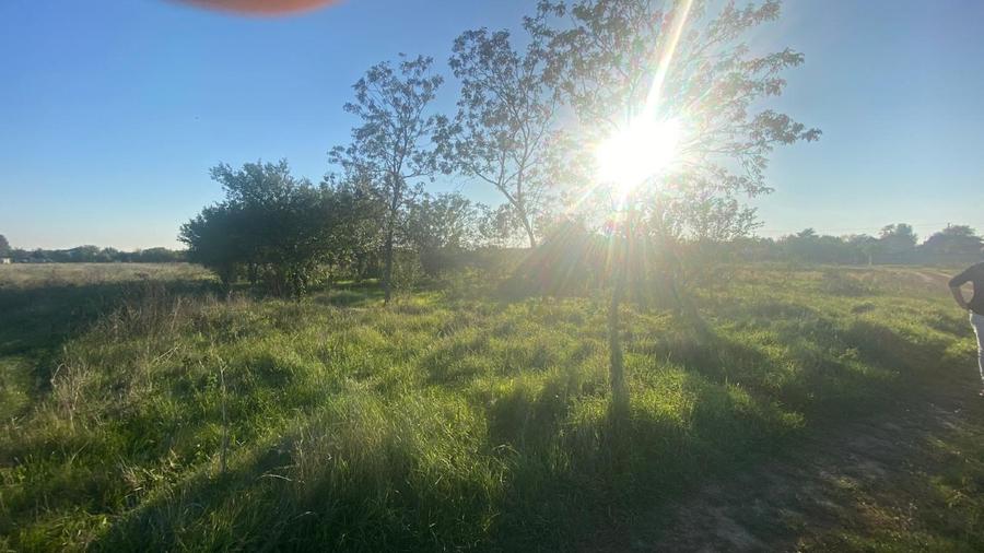 Butimanu – Teren ideal pentru casă, 900 mp, deschidere mare 38 m – 11 euro - 5