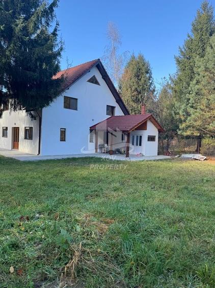 Pensiune/ Vila Valea Avrigului - 4