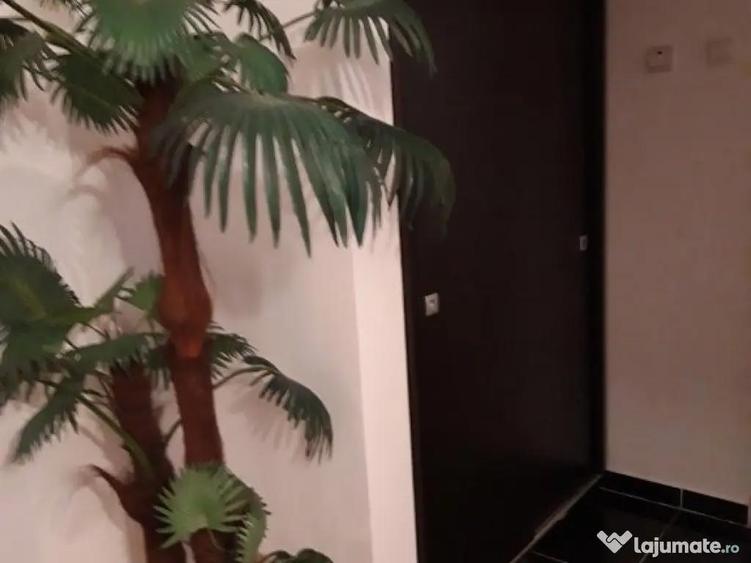 Inchiriez apartament 2 camere etaj 1 piata mare - 2