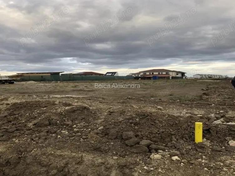 Teren 586 mp-Sacalaz-Toate utilitatile+proiect casa(OPTIONAL)