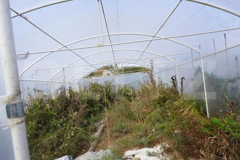 Casa 140 mp, cu teren 3.800 mp, Tatara?ti - 18