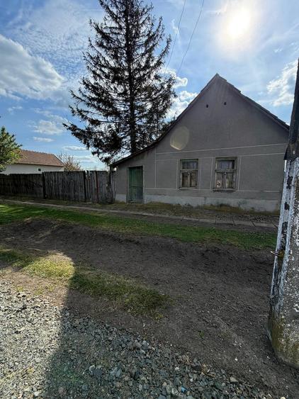 Vand casa in Dorobanti - 3