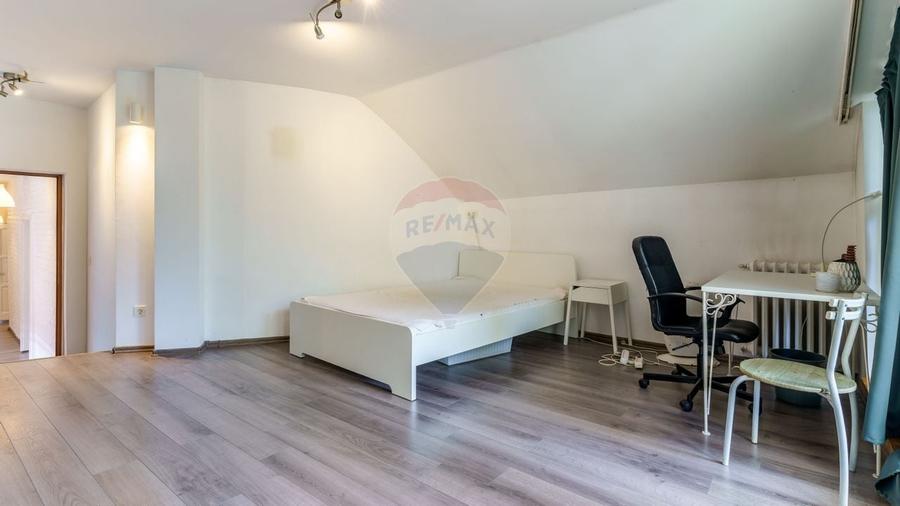 Casa langa Campusul Hasdeu/UMF- Ideala pentru locuinta sau investitie! - 10
