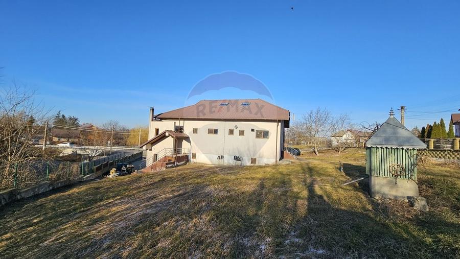 Complex comercial-cofetarie, patiserie pitzerie- Udesti, Suceava - 43