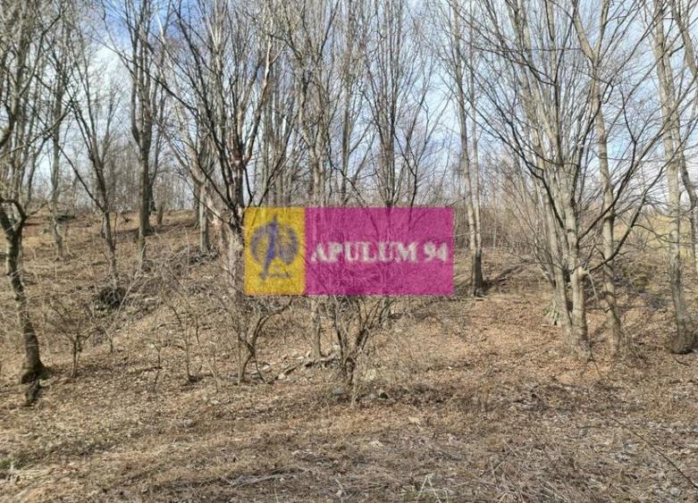 Teren de v&acirc;nzare &icirc;n Sinaia - Platou Izvor - 4