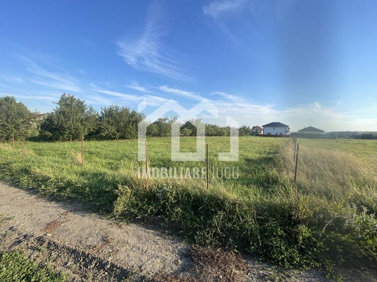 Teren Intravilan 1450mp - Jucu de Mijloc - 2