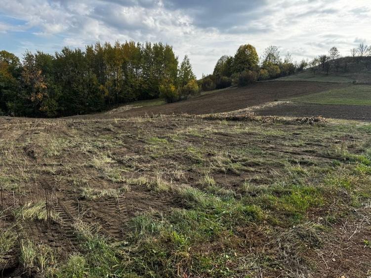 Vand 2 loturi de teren la Vladesti - 4