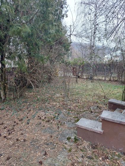 Casa vacanta Breaza - 9