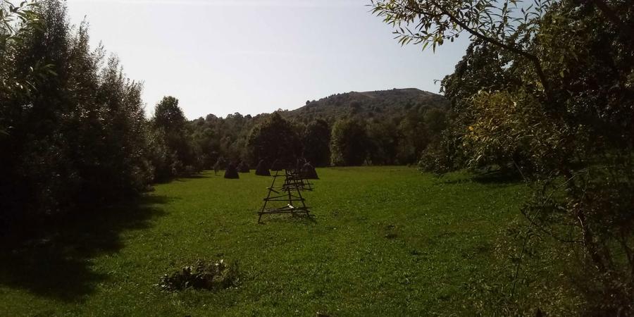 Teren intravilan Valea Doftanei, sat Tesila, Prahova - 2