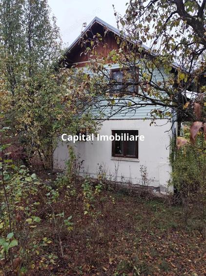 Casa Veche, Central Drajna de Jos 5000 mp - 4