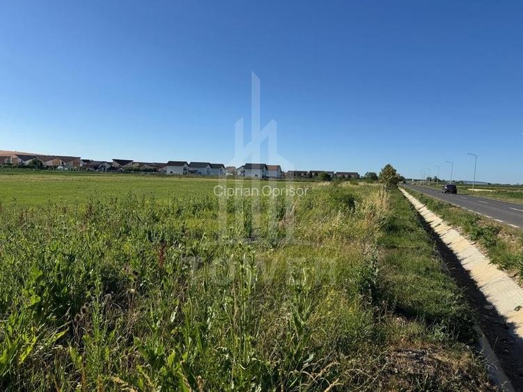 Teren 2500mp Sura Mica - Ocna Sibiului | 162.500 EUR - EXCLUSIVITATE