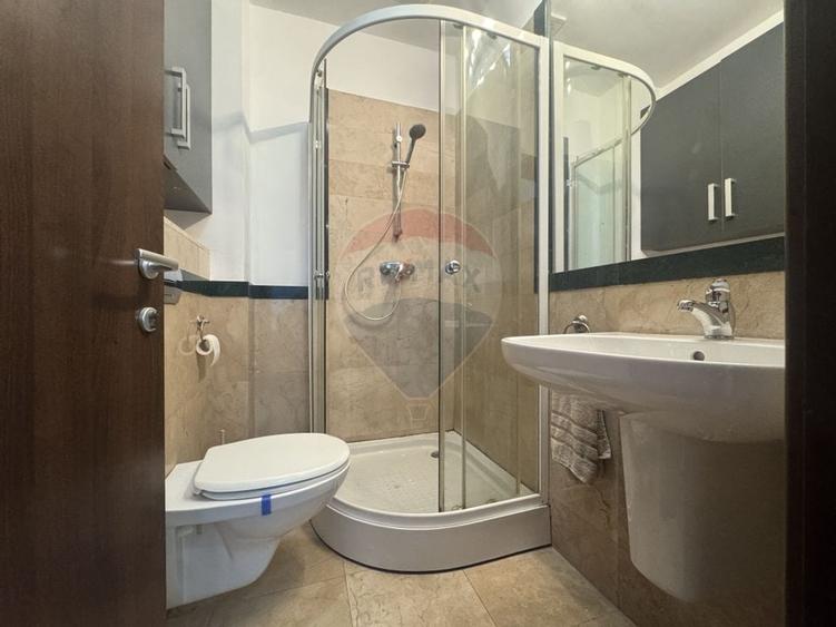 Apartament 2 camere Herăstrău (Alecto Building) - 12