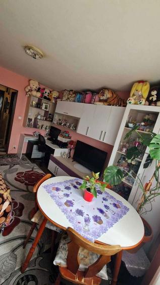 Garsoniera reconditionata - 1