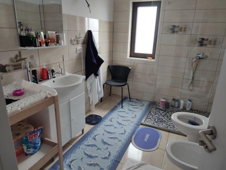 Sanandrei, Spurafete generoase, drum asflatat - 8