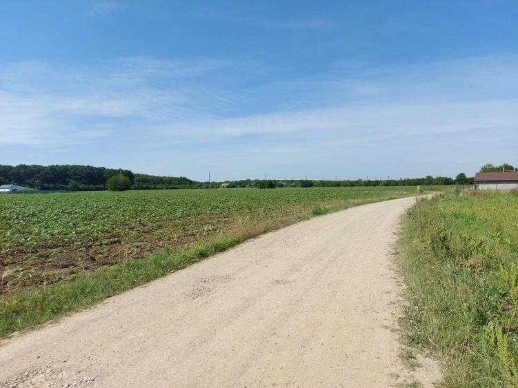 Snagov-Ghermanesti, teren intravilan, 8500mp, la padure - 4