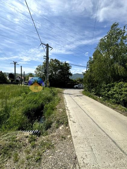 Teren Viisoara - comuna Alexandru cel Bun - 8