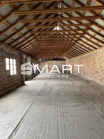 Teren intravilan 16000 mp + hale Calea Surii Mici - 4