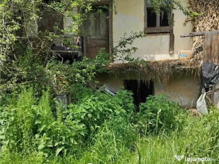 Domeniu verde autentic, 5.000mp, front la DJ, Valcele, Bra - 4