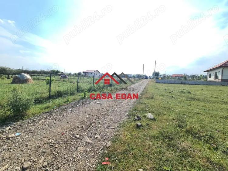 Teren intravilan in Campina, 7500mp--35e - 9