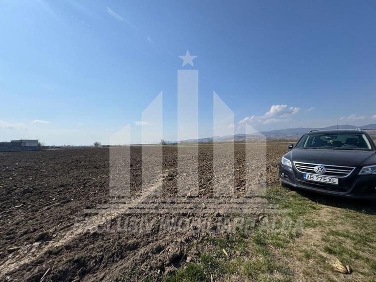 Teren intravilan | 1600 mp | 16 ml deschidere | Oarda de Jos - 1