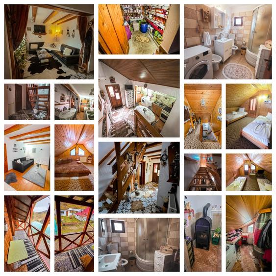 Se vinde: 2 case si o gradina de vis - 1