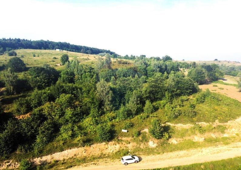 Teren de vanzare in Salicea, 10000 MP , Zona Moara de vant! - 3