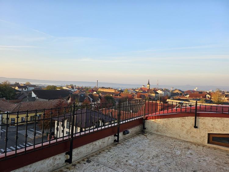 Vand casa ultracentral - 4