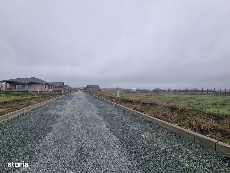 Teren Poarta Alba 16800euro+tva - 1