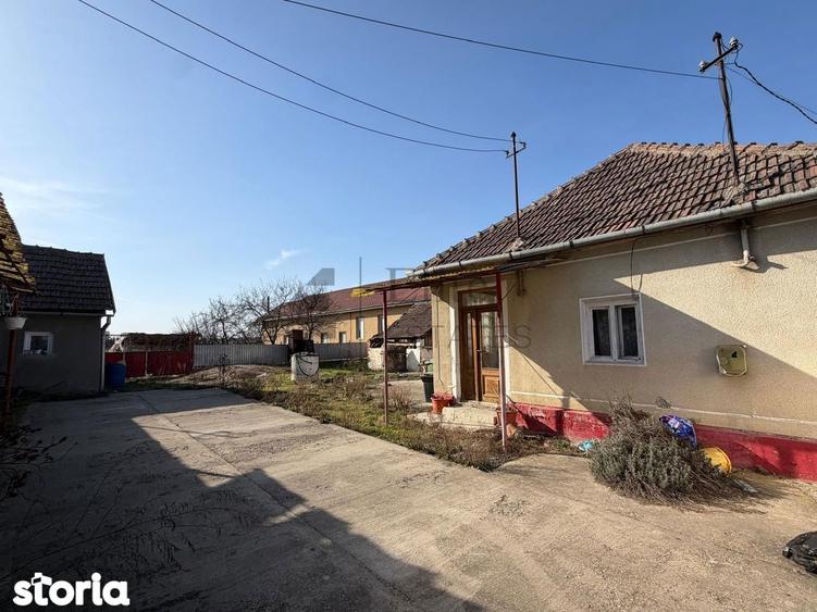 Casa cu 2195 mp teren in Cihei - Str. Mare - 2