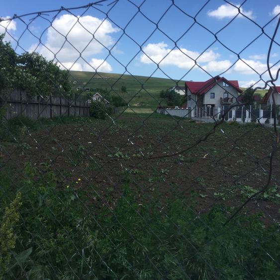 Teren de vanzare - 8