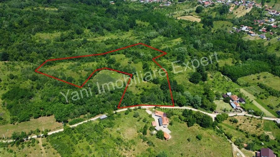 Teren de vanzare in comuna Baicule?ti, sat Valea lui Enache, jude? Arge?. - 9