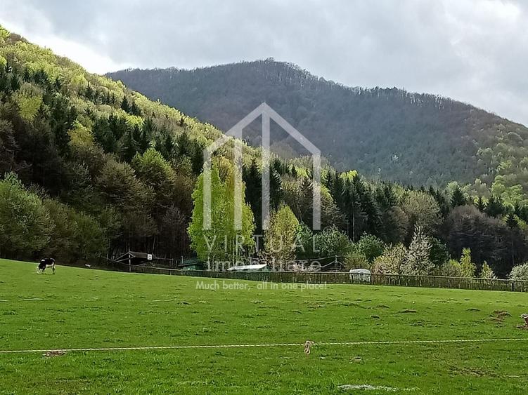 Teren intravilan de vanzare in Tocile, 3862 mp, priveliste spre padure - 2