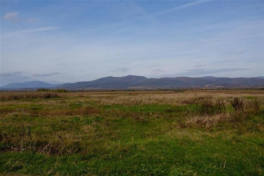 De vanzare Domeniu Baronial SAT CIL - 12