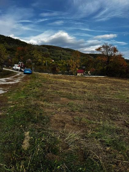 Vand 2 loturi de teren la Vladesti - 7