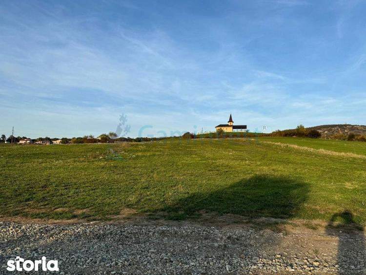 Teren de vanzare in Betfia, 5487 mp intravilan, Bihor, Gaminvest-V4571 - 7