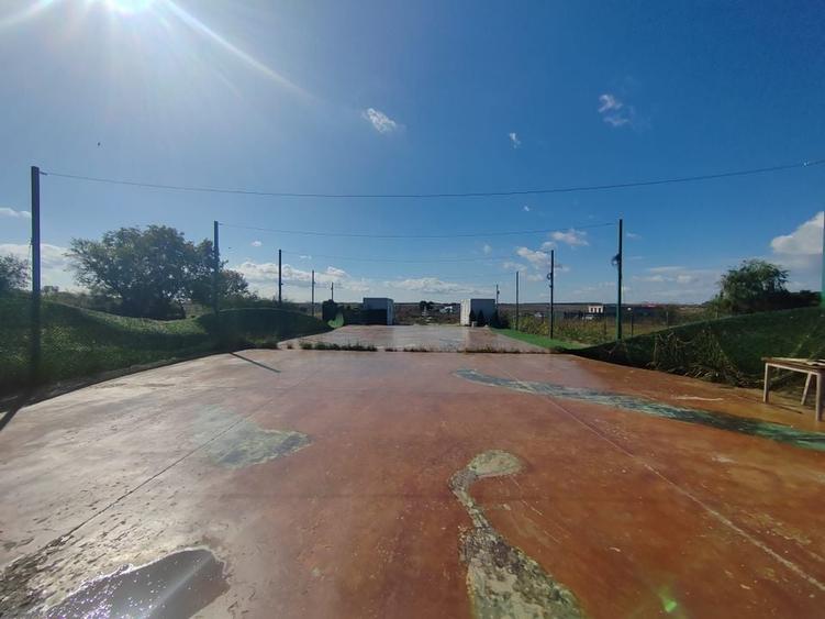 Gagu Dascalu teren ideal pentru investitie zona in dezvoltare - 12