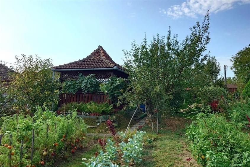 Casa cu Gradina, Parc si Priveliste in Brad, Jd. Hd - 6