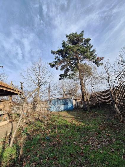 Refugiu la ?ara, aproape de Bucure?ti casa tradi?ionala cu teren 3.113 mp - 2