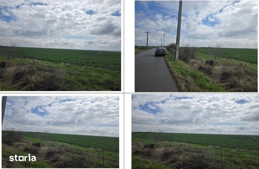 Teren de 5000 mp, în Filipeștii de Târg