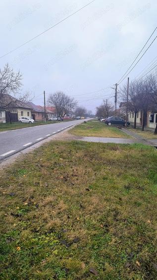 casa veche loc de casa langa Timi?oara - 3