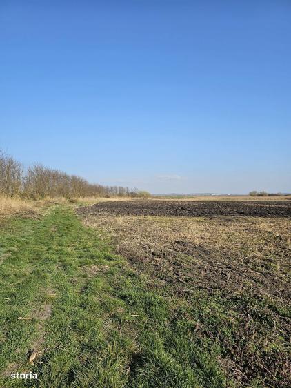 Teren extravilan pentru balastiera Biharia - 4