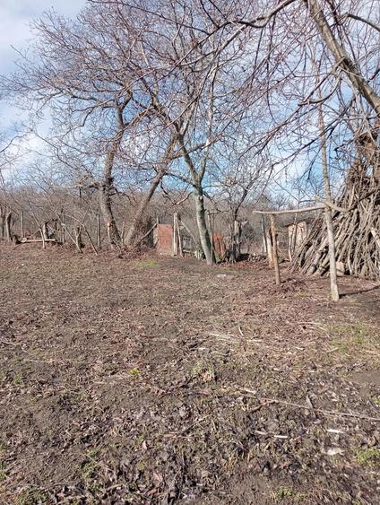 Vand casa cu teren Perieni - 6