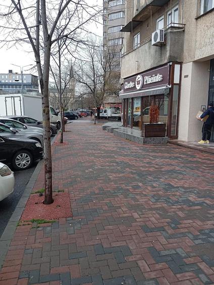 De vanzare spatiu comercial Sos. Mihai Bravu nr. 202 Bucuresti - 5